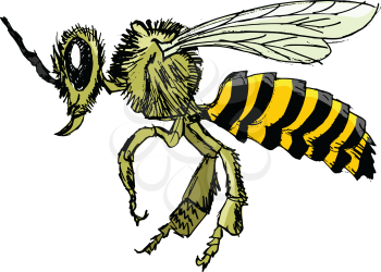sketch of bee, illustration of wildlife, zoo, animals