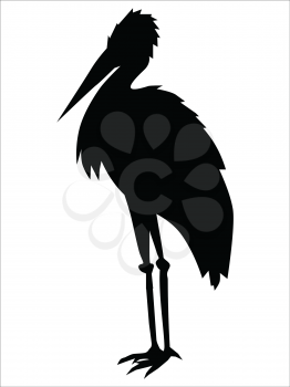 silhouette of stork, motive of wildlife
