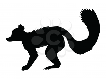 silhouette of lemur, motive of wildlife