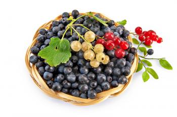 Royalty Free Photo of Berries in a Basket