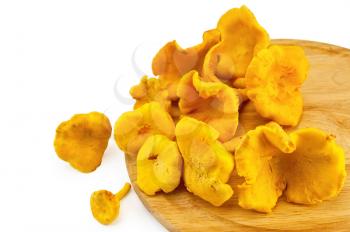Yellow chanterelles on a round board isolated on white background