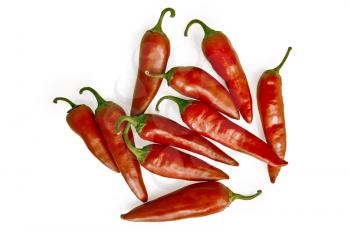 Some red hot peppers isolated on white background