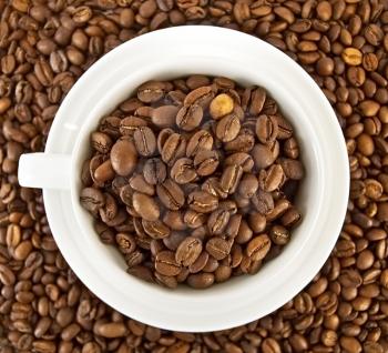 Coffee beans in a white porcelain cup on a background of coffee beans