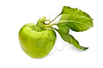 Green peppers with green leaves isolated on white background