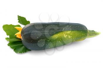 Green squash with yellow spots, green leaf and yellow flower isolated on white background