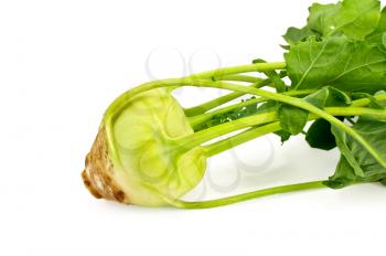 One head of cabbage kohlrabi with leaves isolated on white background