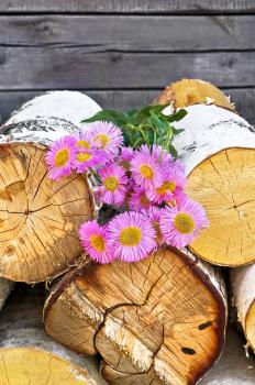 A bouquet of pink flowers on a pile of firewood against the old gray boards
