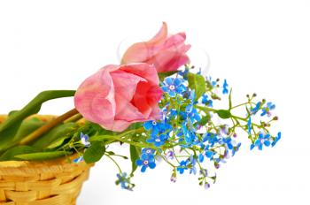Bouquet of two pink tulips and blue field flowers in a wicker basket isolated on a white background