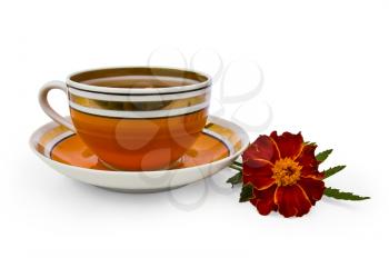 Tea in a cup of orange marigolds isolated on a white background