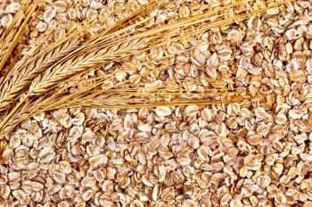 The texture of rye flakes with ear of rye