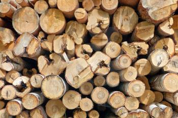 A stack of finished birch, aspen and pine logs