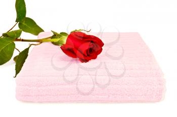 The towel pink with a red rose isolated on white background