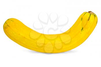 Large yellow zucchini isolated on white background