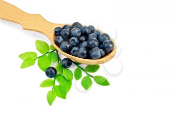 Blueberries in a wooden spoon with a green twig and leaf isolated on white background