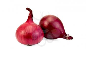 Two purple onions isolated on white background