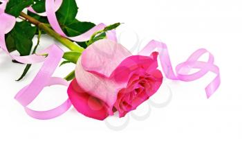Pink rose with green leaves, decorated with pink ribbons isolated on white background
