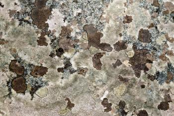 The texture of natural brown-spotted pink granite stone