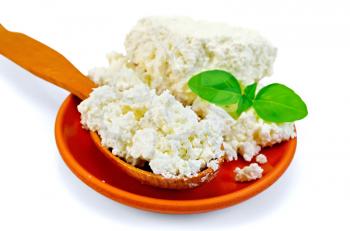 Cottage cheese in a wooden spoon and a clay plate with a green basil isolated on white background