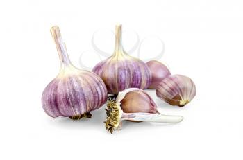 Two whole bulbs of garlic, three garlic clove isolated on white background