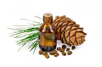Cedar oil in a bottle, cedar cone, cedar nuts isolated on white background