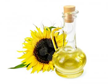 Vegetable oil in a glass carafe with a sunflower isolated on a white background