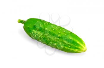 One green cucumber isolated on white background