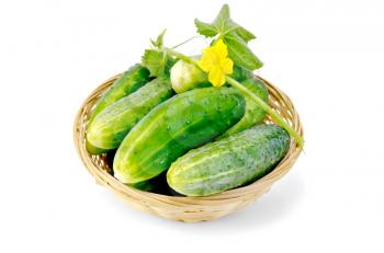 Cucumbers with yellow flowers and green leaves in a wicker basket isolated on white background