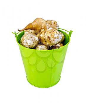 Pile of Jerusalem artichoke in a small green bucket isolated on white background
