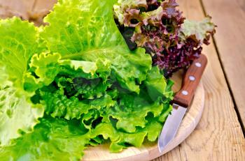 Green and red beams lettuce with a knife on a wooden boards background