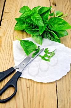 Green basil with scissors on paper on the background of wooden boards