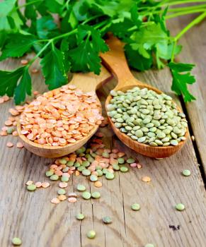 Red and green lentils in a wooden spoon and parsley on a wooden boards background