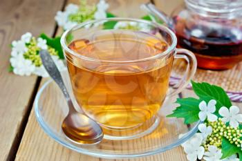 Herbal tea viburnum flowers in a glass cup and teapot, spoon, fresh flowers viburnum on a wooden boards background