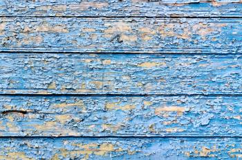 The texture of the old boards with peeling blue paint