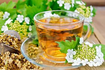 Herbal tea viburnum flowers in a glass cup, a metal strainer with dried flowers of Viburnum, Viburnum and fresh flowers on the background of wooden boards