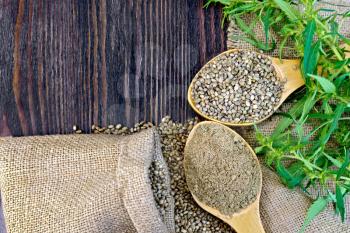 Flour and hemp seeds in a spoon, green twigs of cannabis on sackcloth background on wooden board