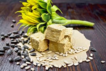 Eastern sweet halva sunflower on paper, sunflower seeds and flower on a background of a dark wooden board