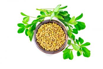 Fenugreek seeds in a bowl with green leaves isolated on white background from above
