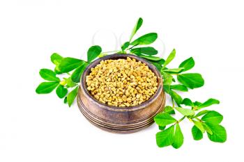 Fenugreek seeds in a small bowl with green leaves isolated on white background