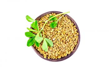 Fenugreek seeds in a clay bowl with green leaves isolated on white background from above