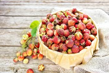 Wild ripe strawberries in a birch bark box with parchment, burlap on the background of old wooden boards