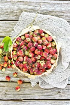 Wild ripe strawberries in a birch bark box with parchment, burlap on the background of wooden planks on top