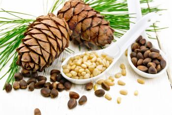 Pine nuts in two spoons, two cedar cones and green branches on a wooden board background