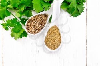 Coriander seeds and ground in two spoons, green fresh cilantro on wooden board background from above