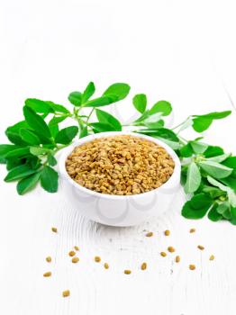 Fenugreek seeds in a bowl and on a table with green leaves on white wooden board background