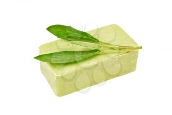 Green soap with fresh sage sprig isolated on white background