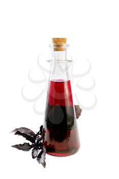 Vinegar with purple basil in glass bottle isolated on white background