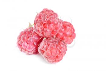 Royalty Free Photo of Pile of Raspberry