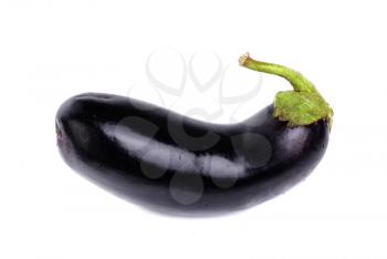 Royalty Free Photo of an Eggplant