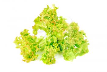 fresh salad isolated on  white