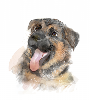 portrait of the german shepherd puppy